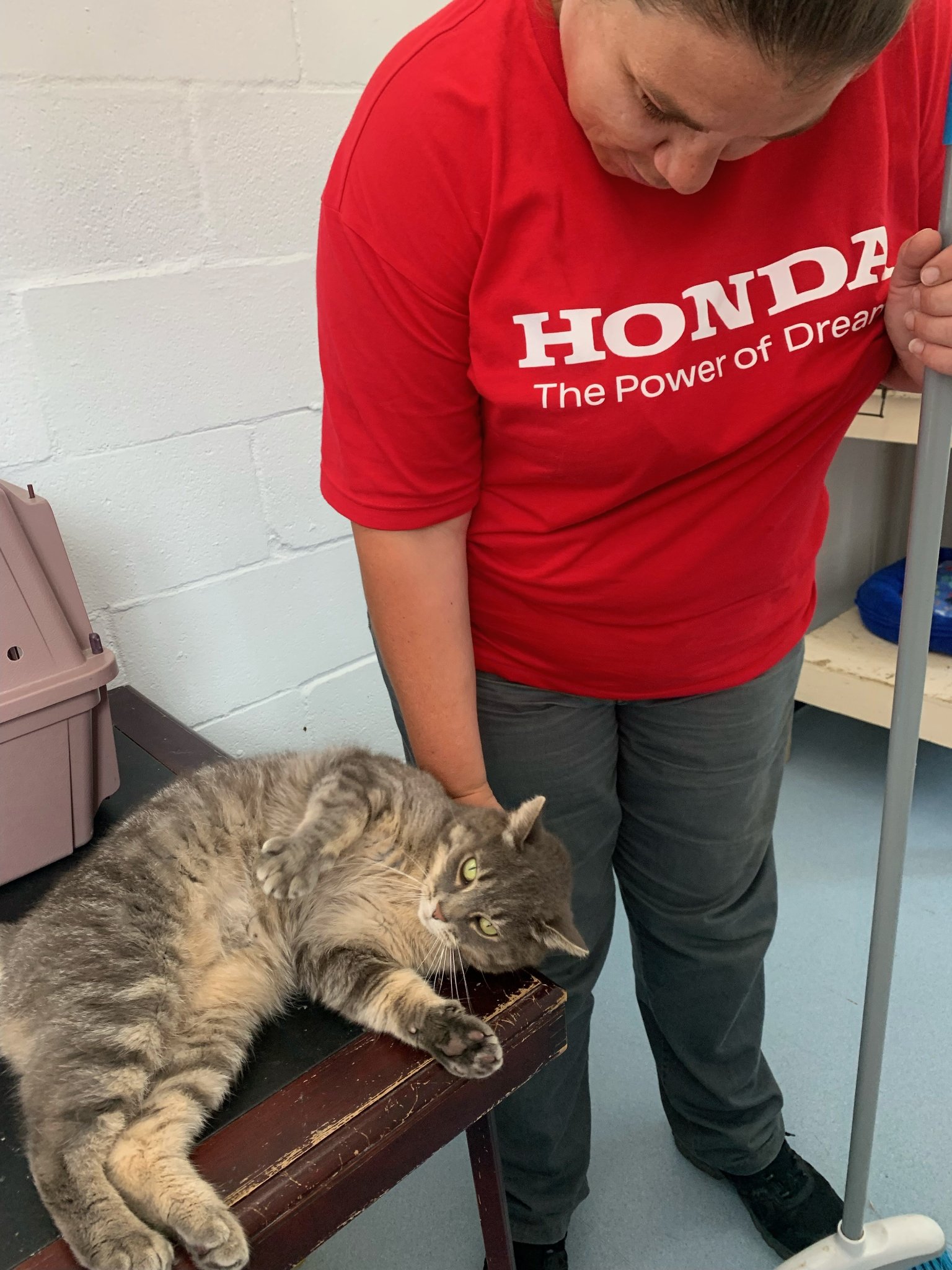 ACM worker with a cat